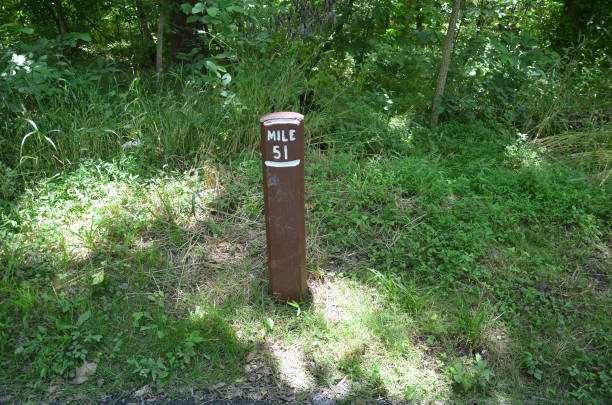 istock mile marker 51 sign or post and green plants 1254012327