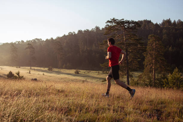 istock Morning jogging in a forest 1254014960
