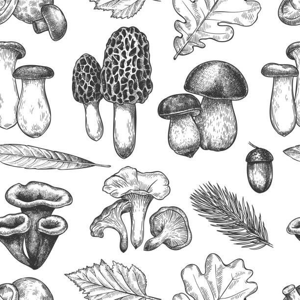 ilustraciones, imágenes clip art, dibujos animados e iconos de stock de patrón de hojas y hongos. dibujado a mano diferentes hojas de otoño, bayas y setas, vintage temporada de otoño bosquejar textura vectorial sin costuras. - edible mushroom illustrations