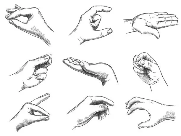 Vector illustration of Engraved holding hand gesture. Keep in hands, vintage hand drawn gestures and hold in palm sketch vector illustration set.