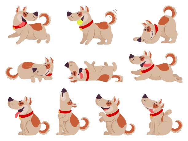 Cartoon dog. Cute dogs in daily routine eating, jumping wiggle and sleeping, running and barking, different poses pet activity vector set. Cartoon dog. Cute dogs in daily routine eating, jumping wiggle and sleeping, running and barking, playing with ball. Puppy pet in different poses doing activities set vector illustration. happy dog stock illustrations