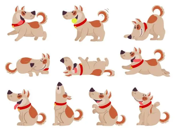 Vector illustration of Cartoon dog. Cute dogs in daily routine eating, jumping wiggle and sleeping, running and barking, different poses pet activity vector set.