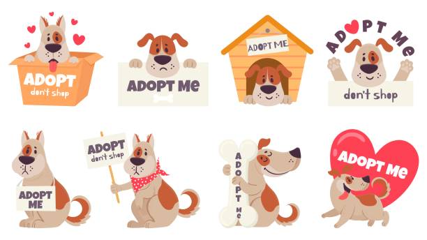 Cartoon adopt dog. Help homeless animals find home concept, sad dogs with text adopt me, dont buy, puppies adoption vector set. Cartoon adopt dog. Help homeless animals find home concept, sad dogs with text adopt me, dont shop, puppies adoption vector set. Pet in doghouse, cardboard box, holding signboard, heart. mixed breed dog stock illustrations