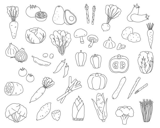 ilustrações de stock, clip art, desenhos animados e ícones de set of hand drawn vegetables illustrations - ingrediente ilustrações
