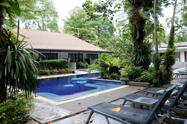 istock Tropical vacation, swimming pool with empty loungers covered with fallen leaves and surrounded by palm trees 1254017918