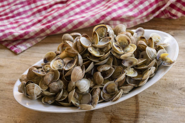 istock small clams or telline 1254022614