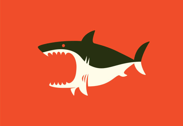ilustraciones, imágenes clip art, dibujos animados e iconos de stock de símbolo de tiburón enojado - pez ilustraciones