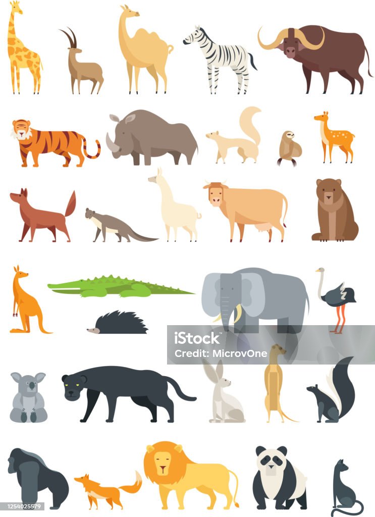 Flat African Jungle And Forest Animals Cute Mammals And Reptiles Wild Fauna  Vector Set Isolated Stock Illustration - Download Image Now - iStock