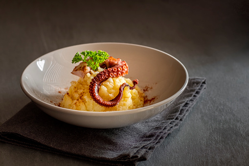Boiled octopus with mashed potatoes and paprika on a plate