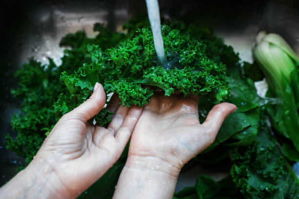 istock Washing fresh green kale leaves closeup 1254033240