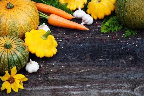 istock Fresh organic gardening vegetables 1254034446