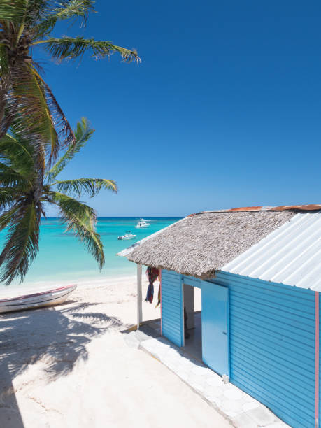 istock Typical caribbean house near Atlantic ocean beach with coconut palm tree 1254034461
