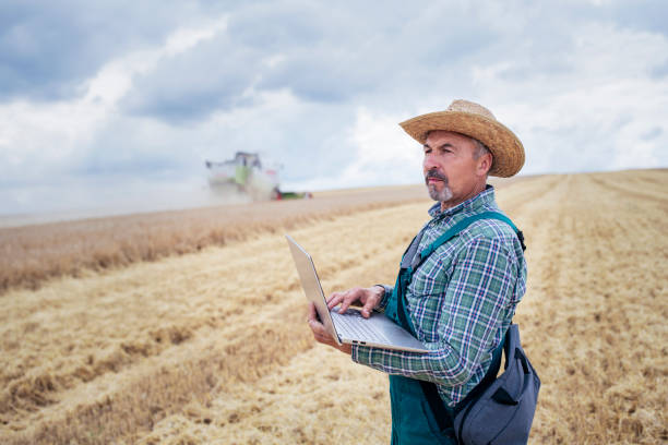 istock Senior Farmer Controlled Harvesting On Agriculture Field. 1254035511