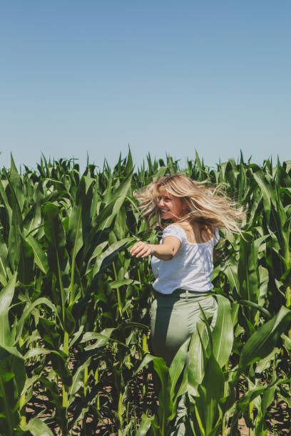 istock Blonde woman inside a corn field 1254037693