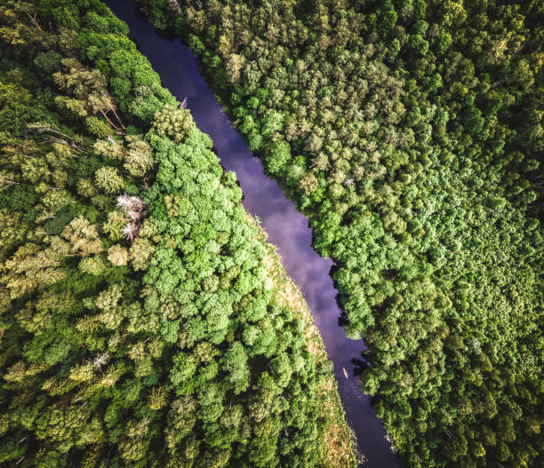 istock rural landscape with a small meandering river (aerial view) 1254037818