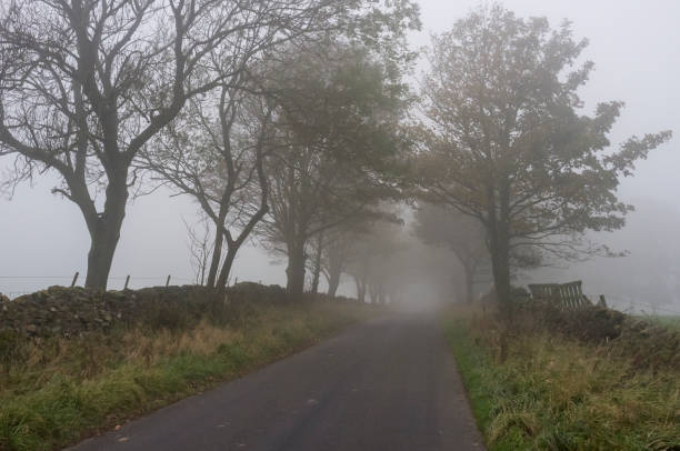 istock Rural road in the mist 1254037876