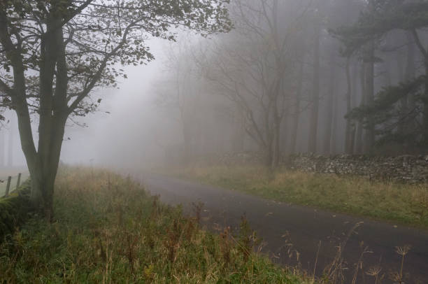 istock Rural road in the mist 1254038066