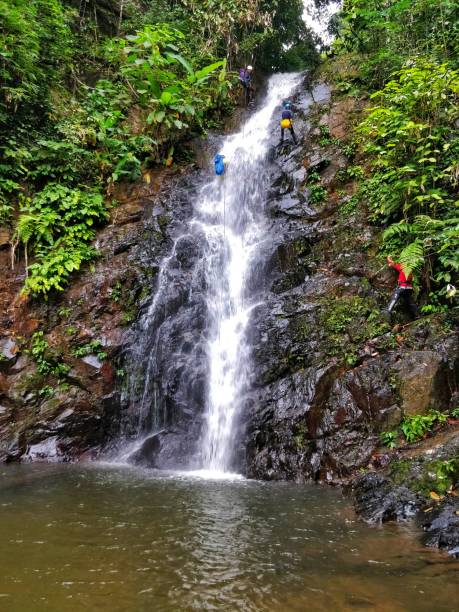 istock Langkawi island, Malaysia - January 2nd 2019: Canyoneering through a dense forest and Rappelling down a waterfall. 1254039774