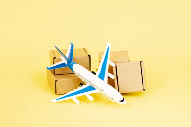 istock Airplane and stack of cardboard boxes. concept of air cargo and parcels, airmail. Fast delivery of goods and products. Cargo aircraft. Logistics, connection to hard-to-reach places. Banner, copy space 1254043549
