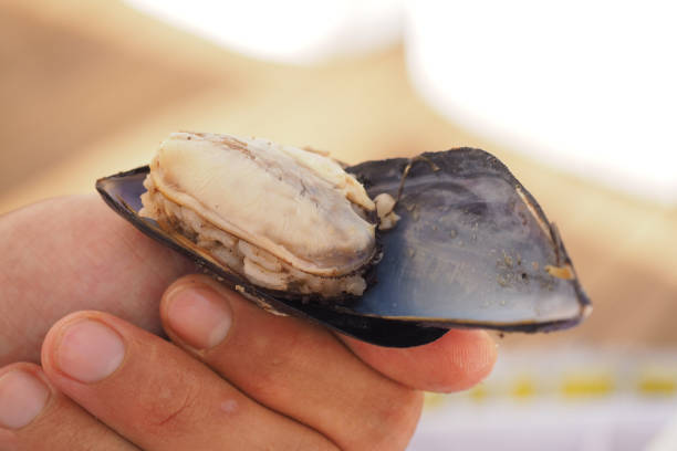 istock traditional home made mussel ready to eat 1254047324