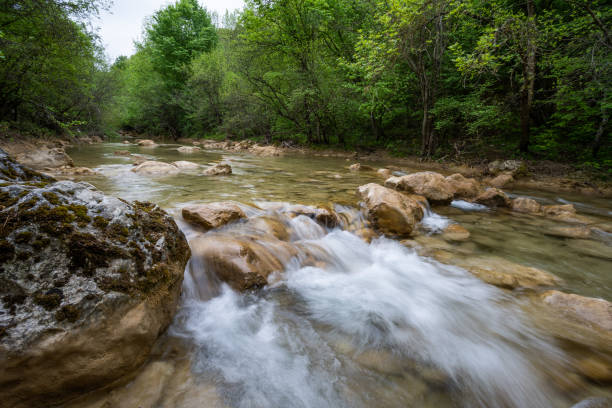istock Mountain river flowing through the green forest 1254052784