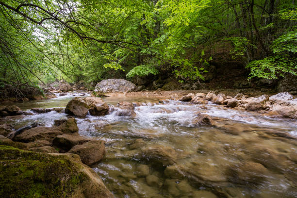 istock Mountain river flowing through the green forest 1254052813