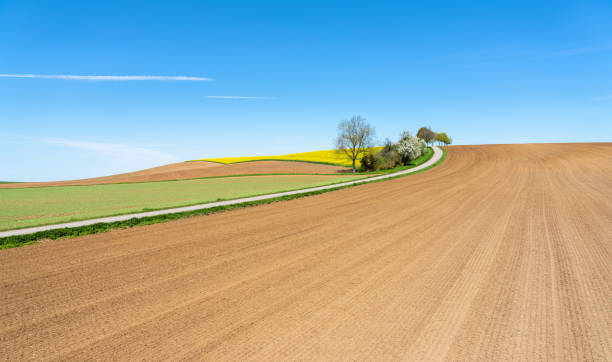 istock Cultivated land in spring with newly harrowed fields 1254053465