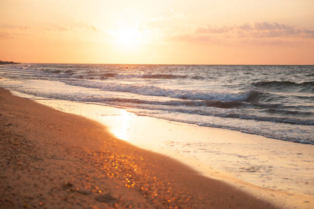 istock beach in summer, sand and ocean at dawn 1254053680