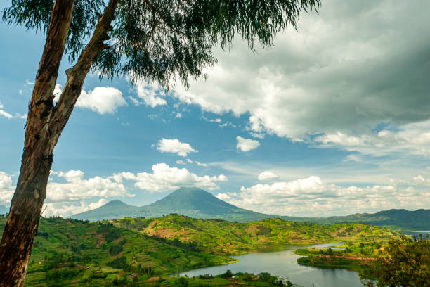 пейзаж гор вирунга в руанде - virunga volcanic complex стоковые фото и изображения