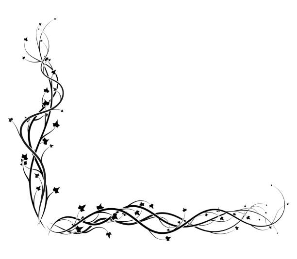 черный плющ угловой кадр на белом фоне виноградной лозы - ivy vine leaf frame stock illustrations