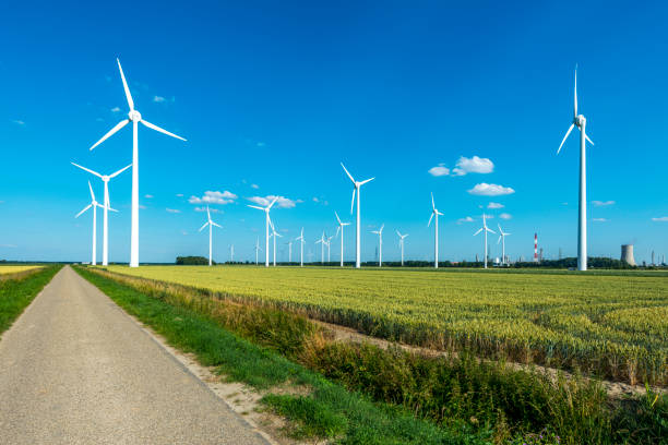 istock Wind Turbines in a wheat Field 1254055996