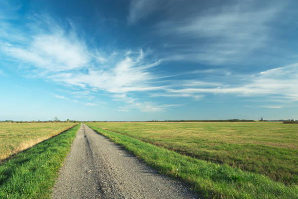 istock Gravel road on flat terrain and white clouds on blue sky 1254056992