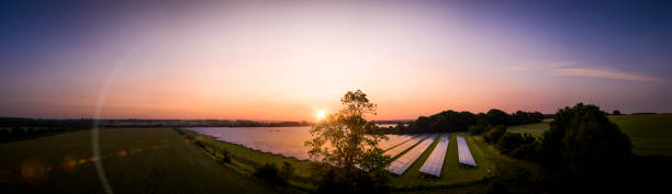 istock Panoramic aerial over a modern solar farm 1254060402