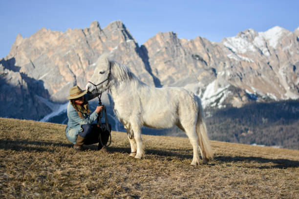 istock the sun sets over the Dolomites 1254062538