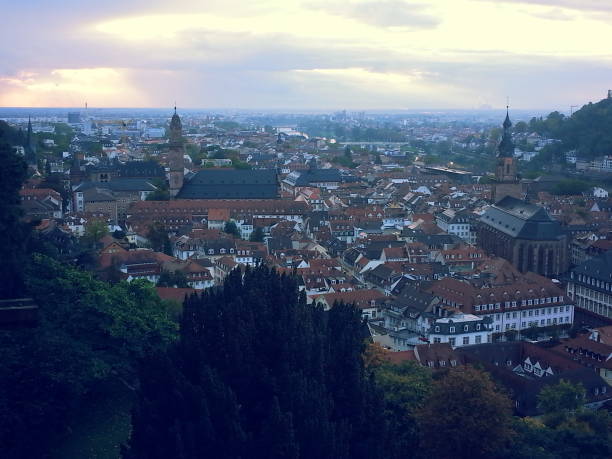 istock Aerial View on Heidelberg, Germany 1254063956