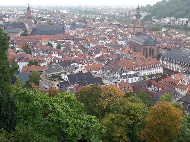 istock Aerial View on Heidelberg, Germany 1254063999