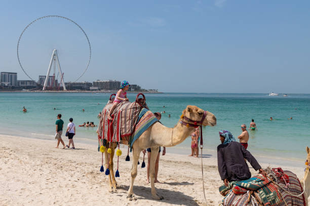 낙타 jbr 해변, 두바이, 페르시아 만에 소녀. - dubai united arab emirates traditional culture camel 뉴스 사진 이미지