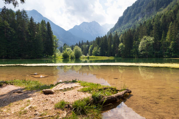 istock Plansar Lake in Jezersko, Slovenia 1254069233