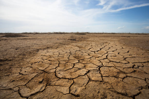 istock hot dry cracked earth landscape 1254072688