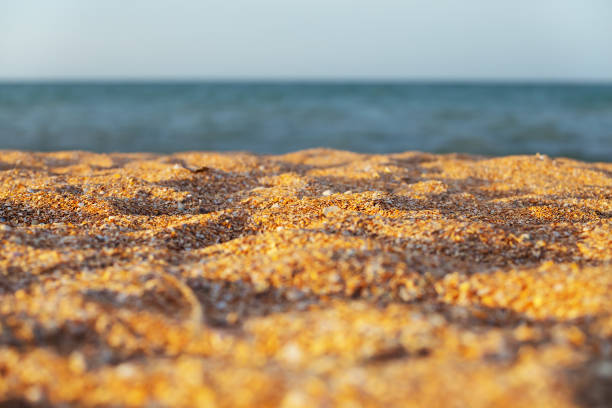 istock closeup sandy sea coast, marine summer vacation background 1254072730