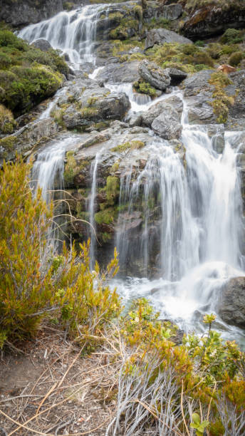 каскадный водопад с шелковистой водой - routeburn falls new zealand mountain beauty in nature стоковые фото и изображения