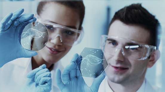 Petri dish with touch screen in futuristic laboratory. Multi ethnic team