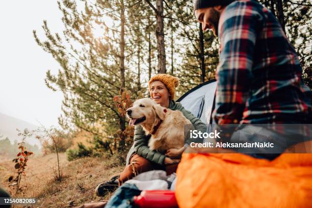 Our First Camping Trip Stock Photo - Download Image Now - Autumn, Camping, Dog