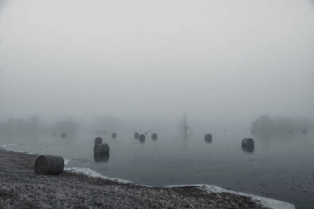 istock hay rolls in water and morning fog 1254085980