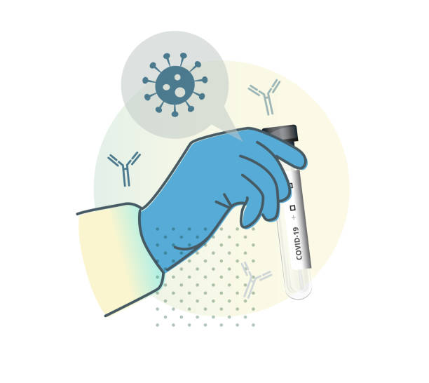 Serologic Test (Antibody) by Immune Cells - Illustration Serologic Test (Antibody) by Immune Cells - Illustration as EPS 10 File antibody test stock illustrations