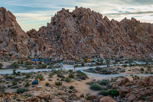 Cars are parked outside tents at a campground in Joshua Tree National Park in California.