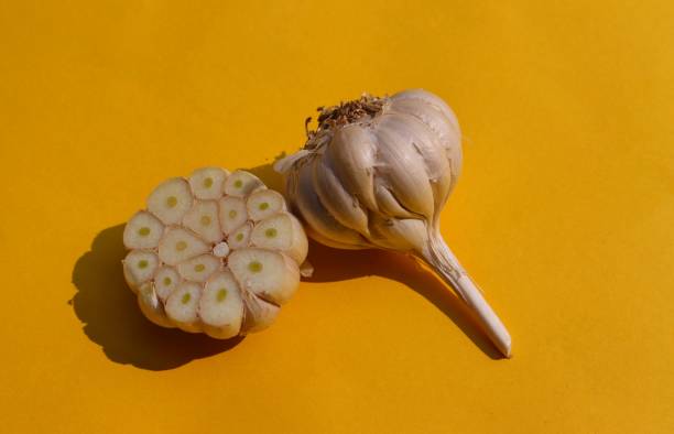 istock Organic Garlic Isolated on Yellow Background 1254092409