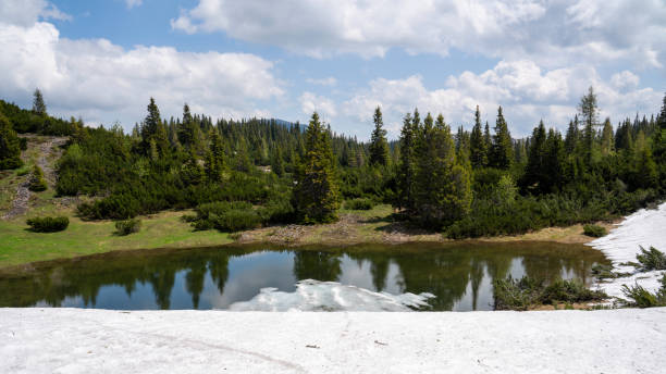 istock Trees by lake against sky 1254092498
