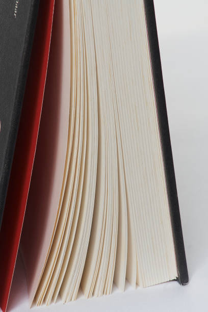 istock detail sheets of open book 1254095634