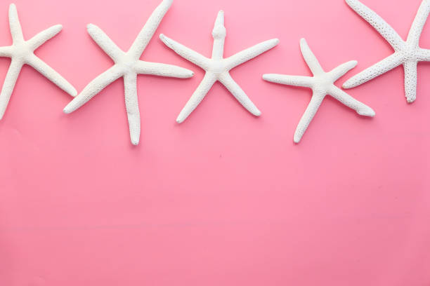 istock white starfishes on pink background top down 1254101615
